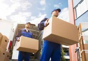 professionnels de débarras