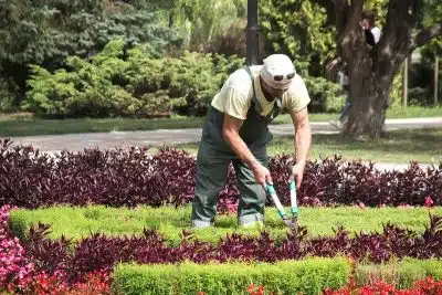 Comment choisir le bon paysagiste pour son jardin