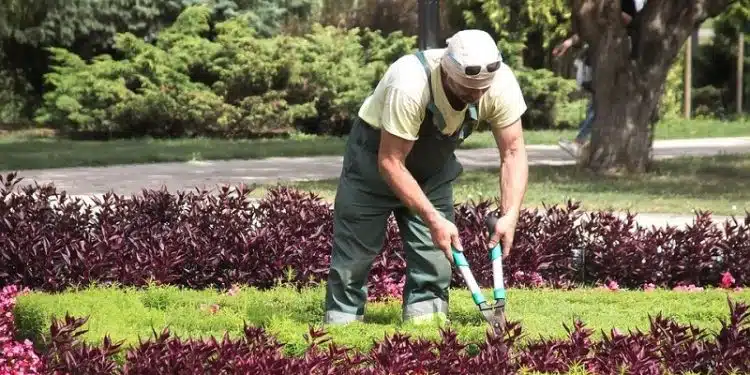 Comment choisir le bon paysagiste pour son jardin