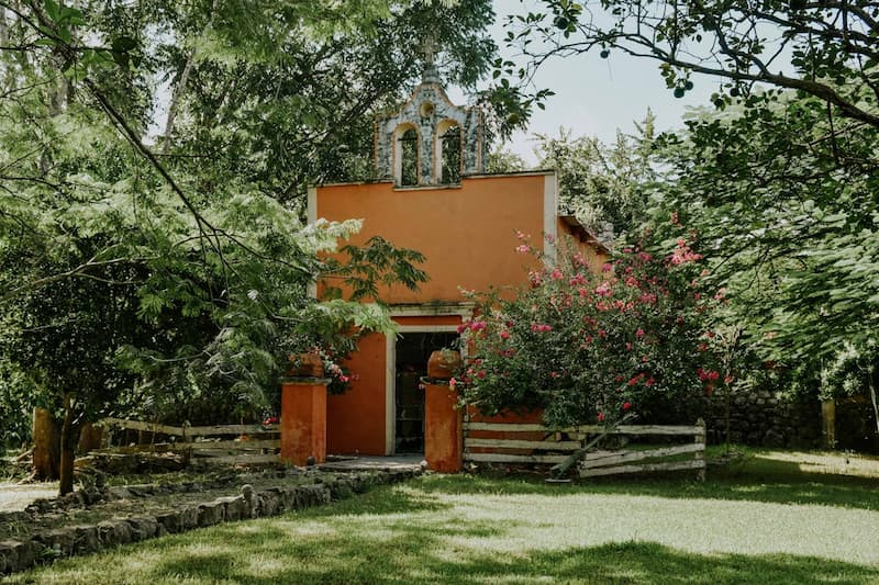 Des arbres à entretenir