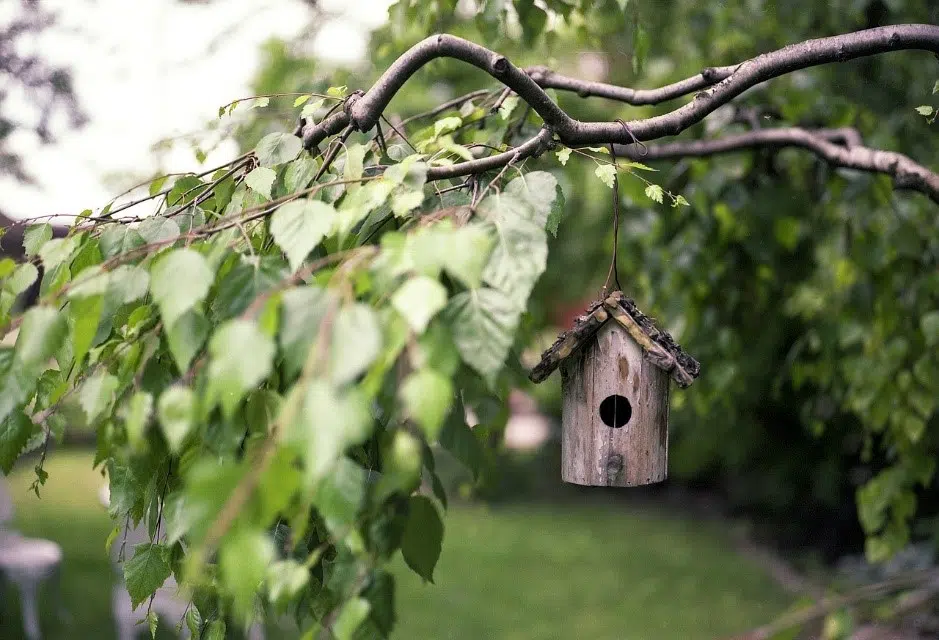 Garden Ornaments