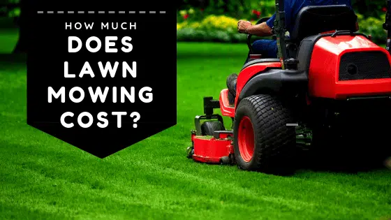 How Much Does Lawn Mowing Cost