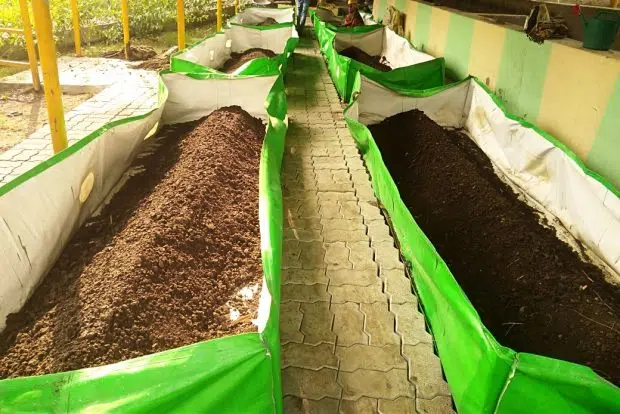 Organic Compost