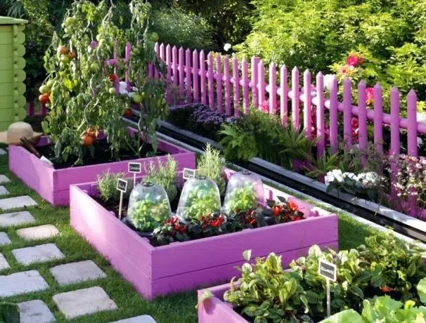 Raised Garden Beds