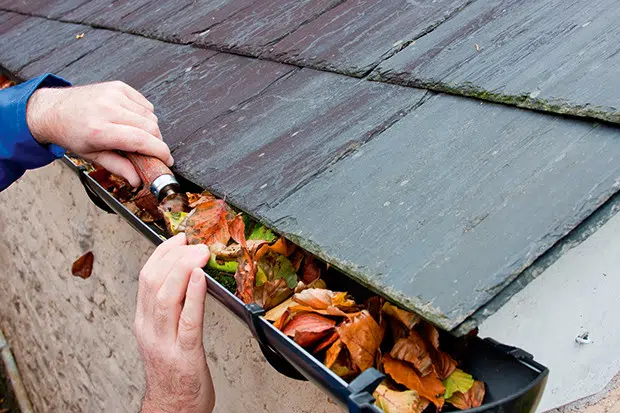 Gutters Cleaning