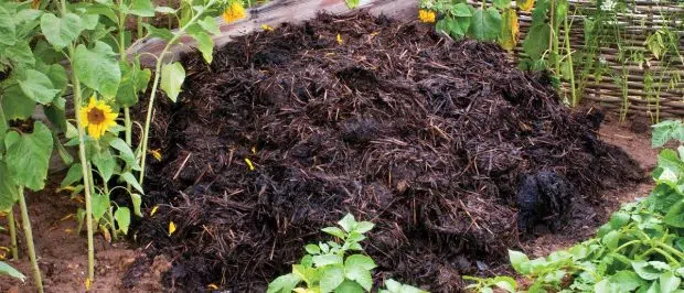 Seaweed Compost