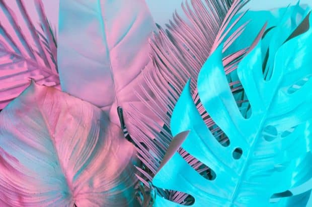 Tropicana Trend is Shouting Out Loud This Year
