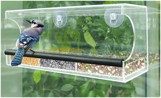 Window Bird Feeders