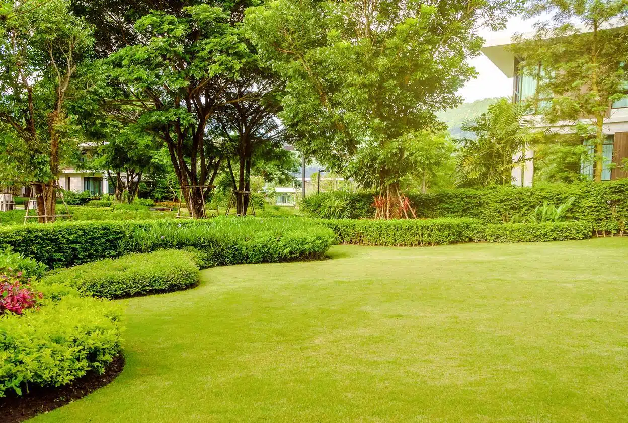 jardin respectueux de l'environnement