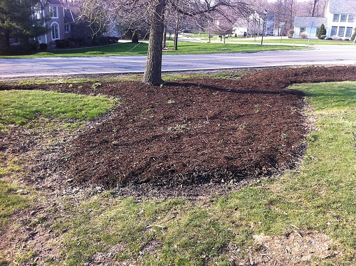 Soil Moisture & Plant Growth