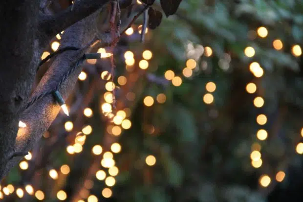 Stargazer Globe Lights